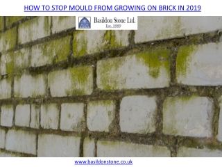 HOW TO STOP MOULD FROM GROWING ON BRICK IN 2019