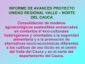 INFORME DE AVANCES PROYECTO UNIDAD REGIONAL VALLE NORTE DEL CAUCA