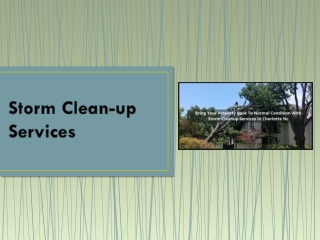BRING YOUR PROPERTY BACK TO NORMAL CONDITION WITH STORM CLEANUP SERVICES IN CHARLOTTE NC